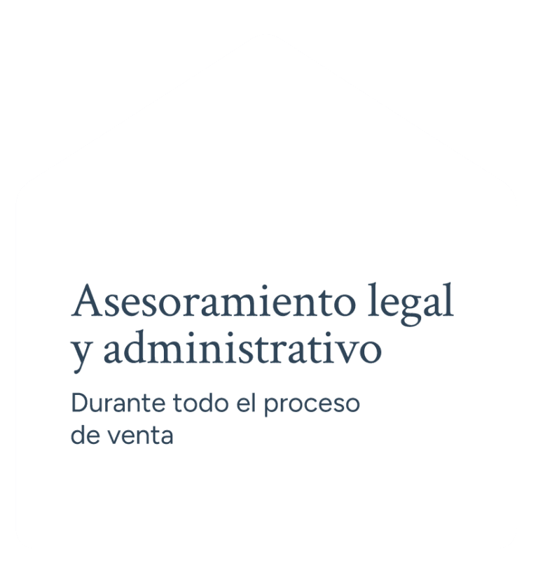Asesoramiento legal y administrativo durante todo el proceso