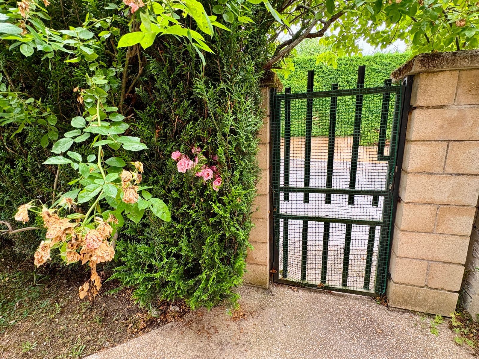 Se vende chalet independiente con jardín y piscina en Etxabarri-Ibiña. - imagen 59